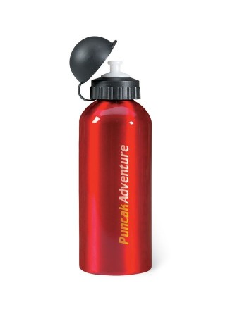 Bouteille en alu. 600 ml Biscing 