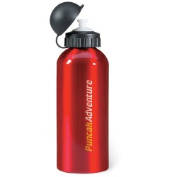 Bouteille en alu. 600 ml Biscing 