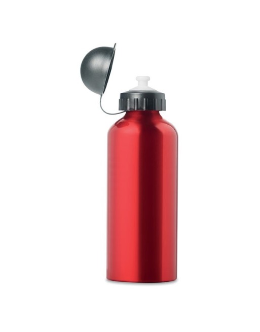 Bouteille en alu. 600 ml Biscing 